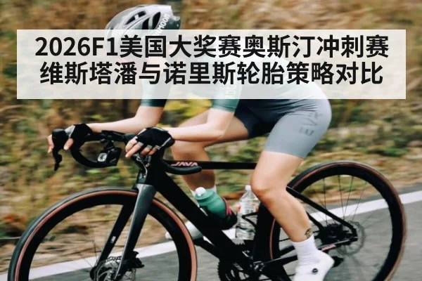 2026F1美国大奖赛奥斯汀冲刺赛维斯塔潘与诺里斯轮胎策略对比