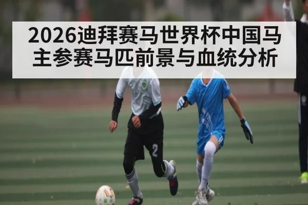2026迪拜赛马世界杯中国马主参赛马匹前景与血统分析